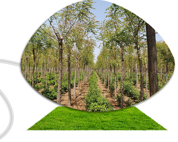 多年經(jīng)驗(yàn)